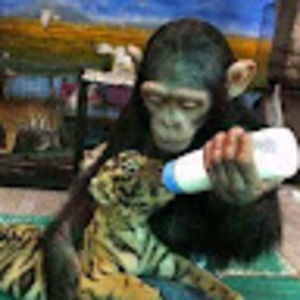 Meet your Posher, Jaime